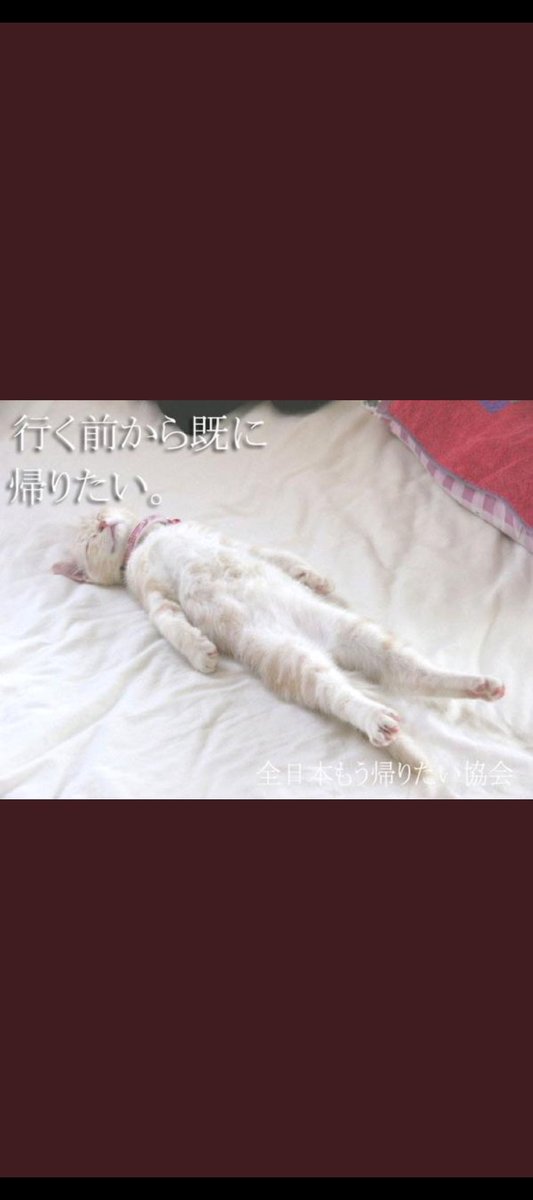 ヨシもん tweet media