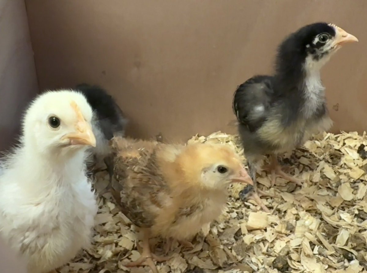 Jason 🇺🇸 tweet media