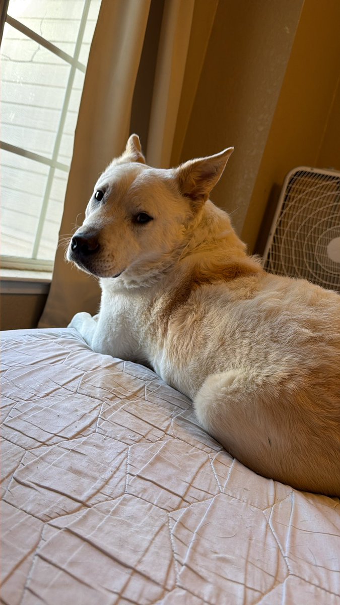 Georgia Mathers ☮️ tweet media