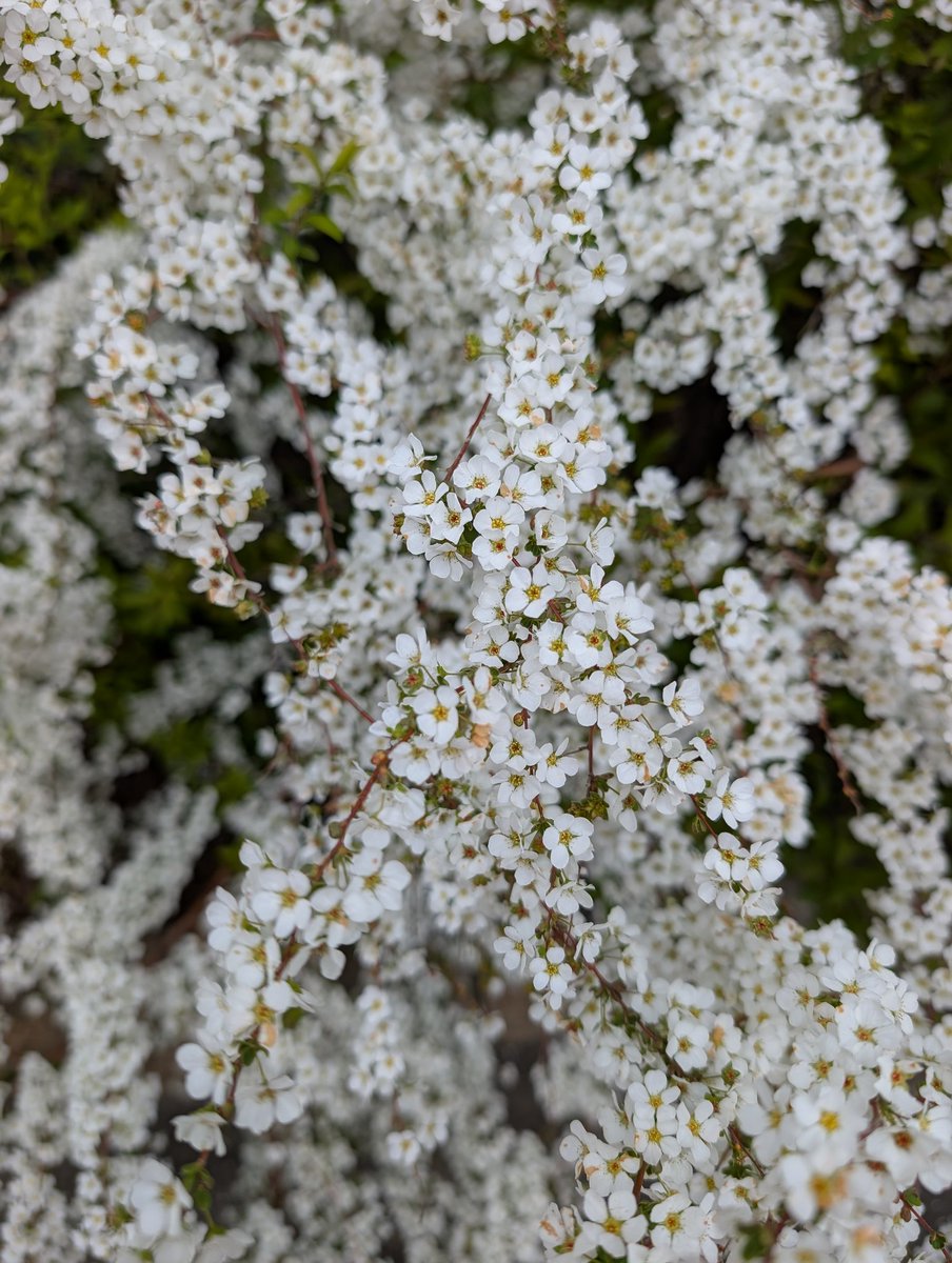 やっちゃん tweet media