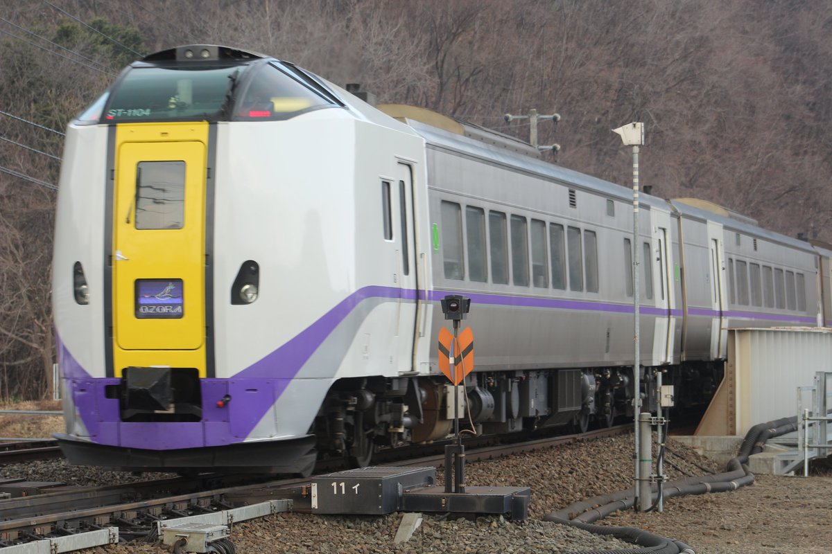 村井克詞＠流氷ヲタク/アザラシ調査員(新得町民) tweet media