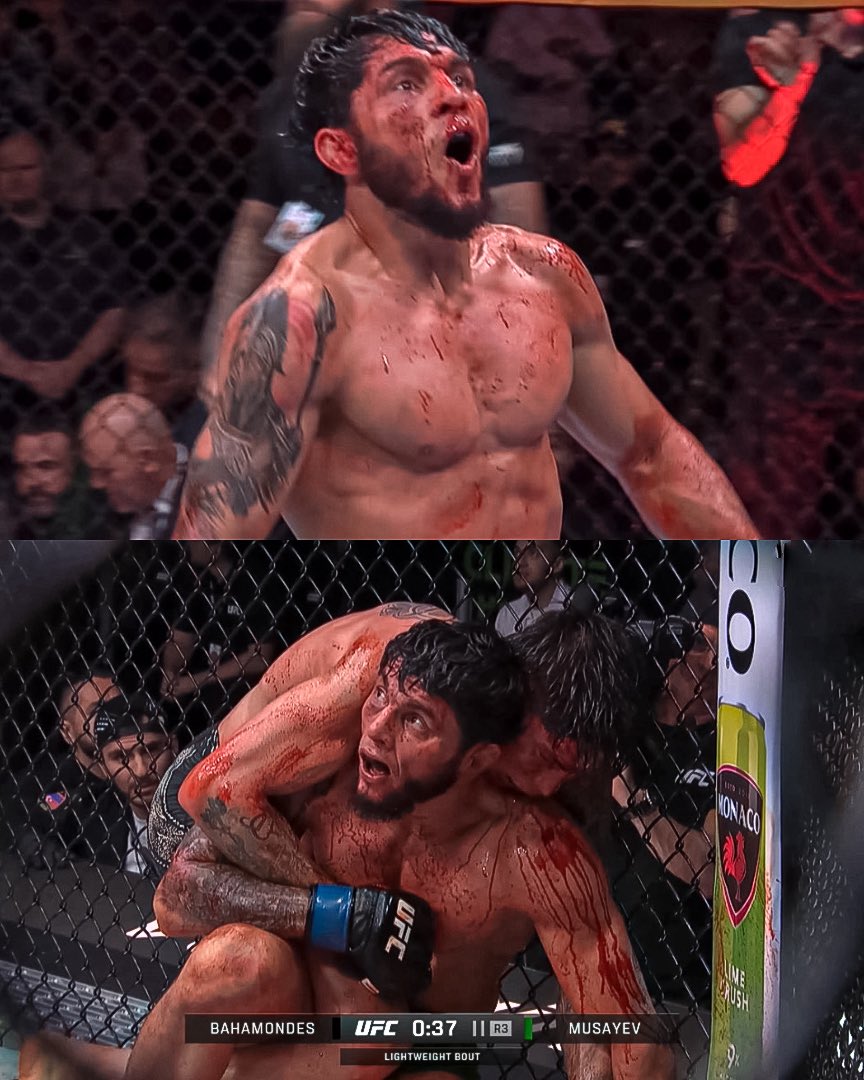 Home of Fight tweet media