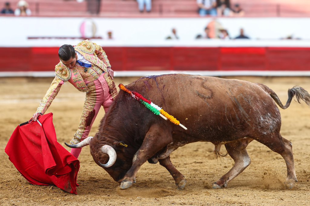 NTR Toros tweet media