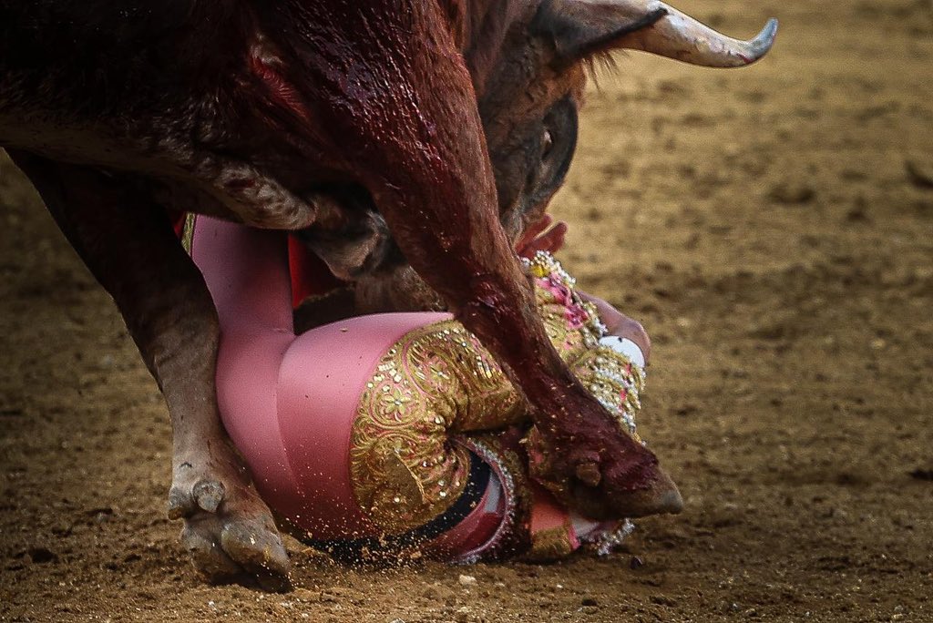 NTR Toros tweet media