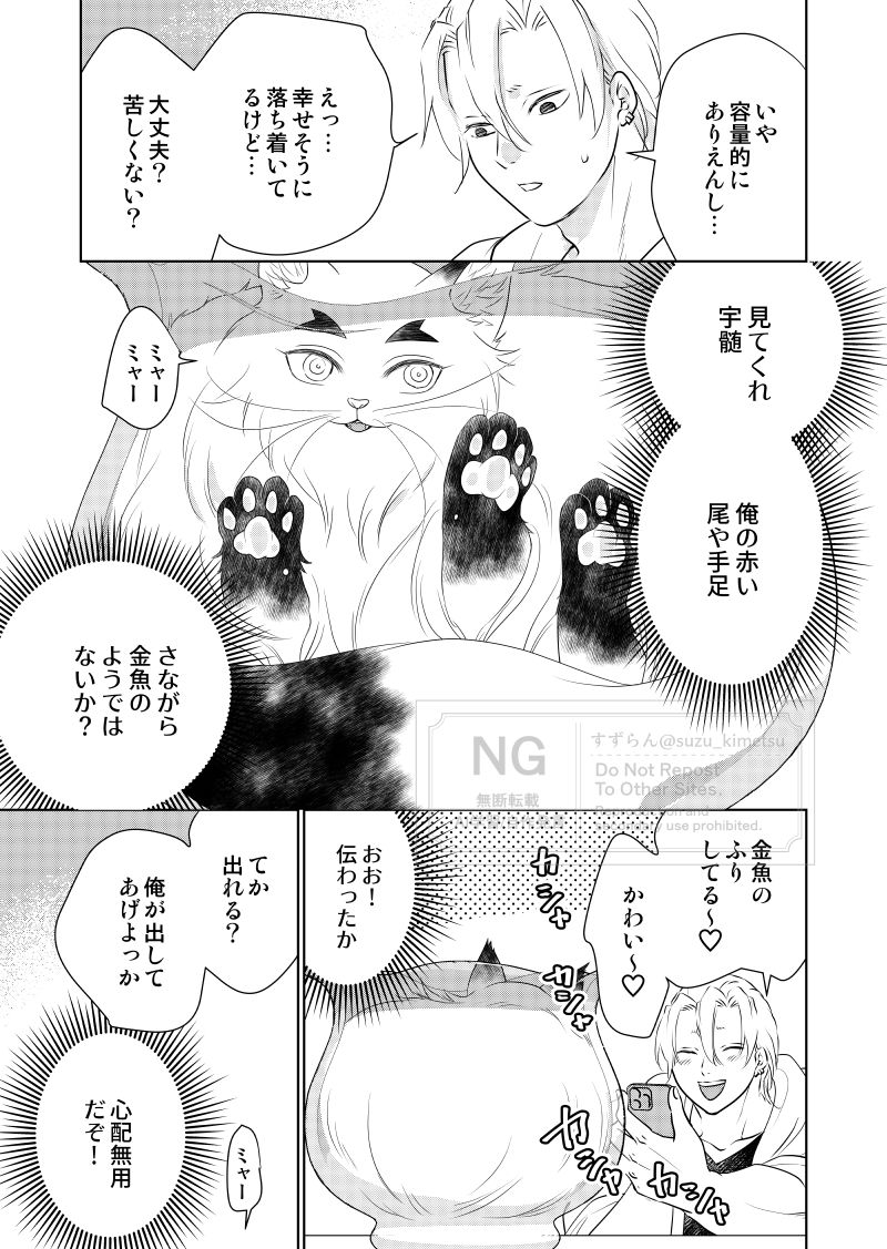 猫レンゴクのいる暮らし)金魚🐟鉢 
