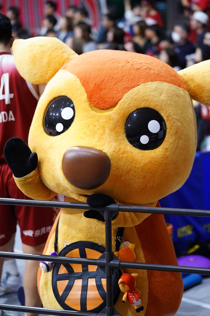 くろにゃんこ tweet media