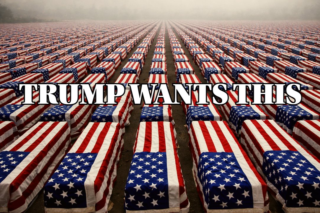 Geronimo Ant tweet media