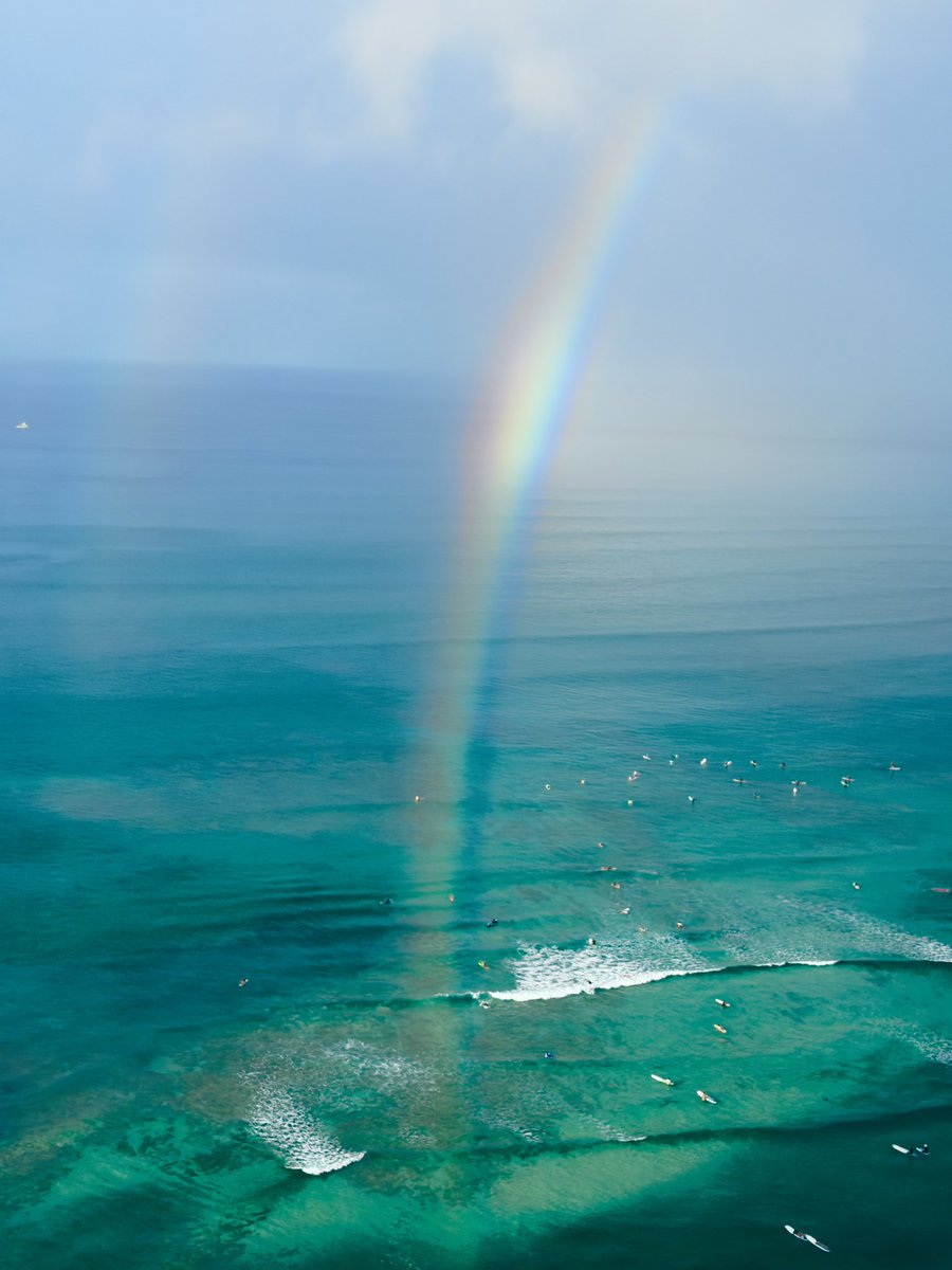 蜷川実花 tweet media