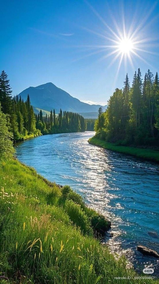 தமிழ்ச்சோழன் (𝗧𝗵𝗮𝗺𝗶𝘇𝗵𝗖𝗵𝗼𝘇𝗵𝗮𝗻) tweet media