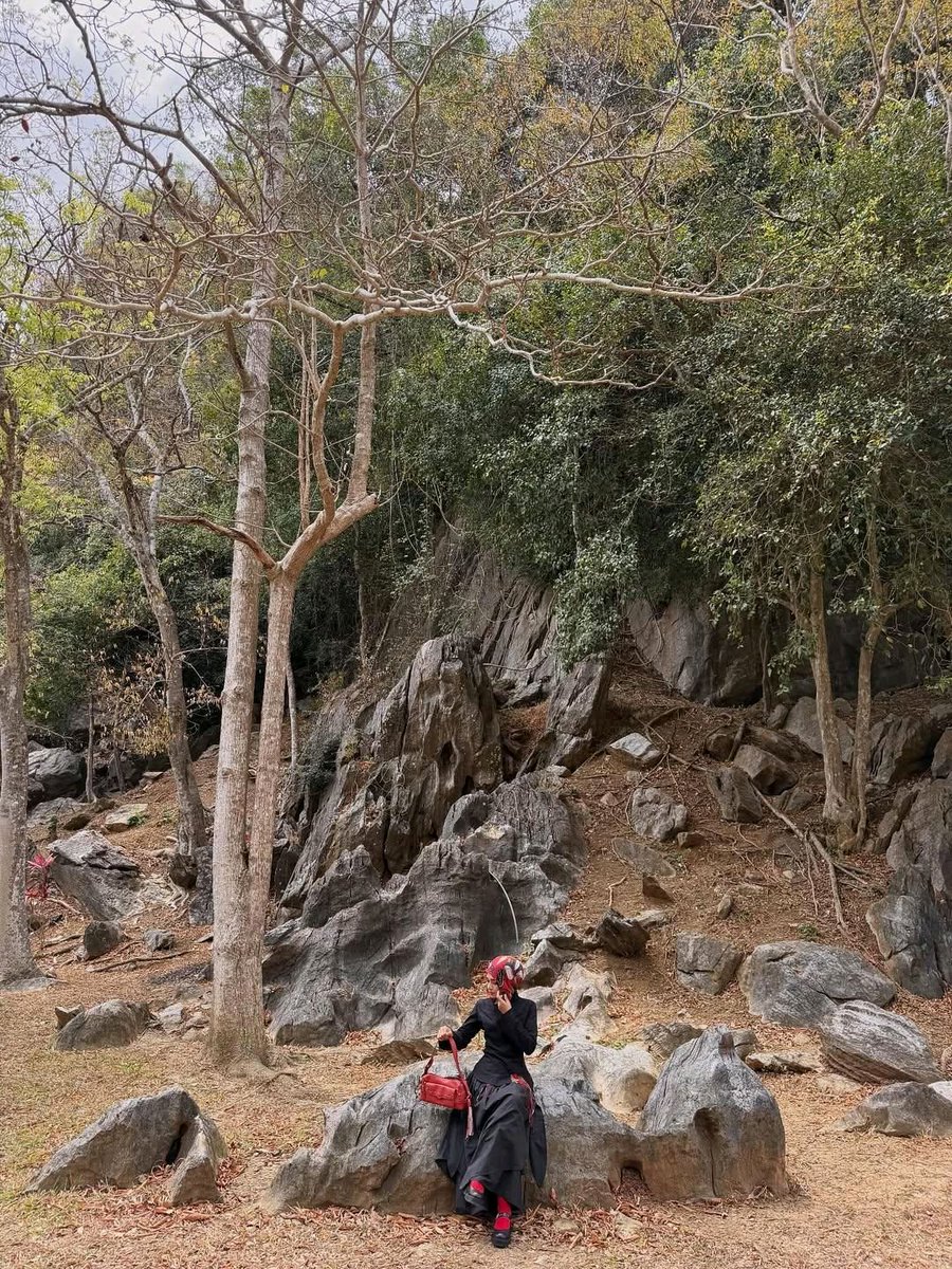 Perlis Permai tweet media