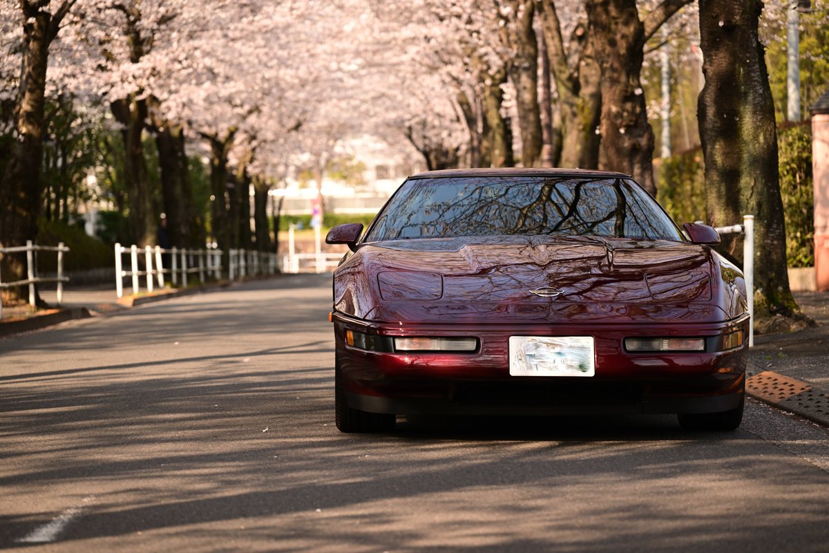 mitsu（蜜） tweet media