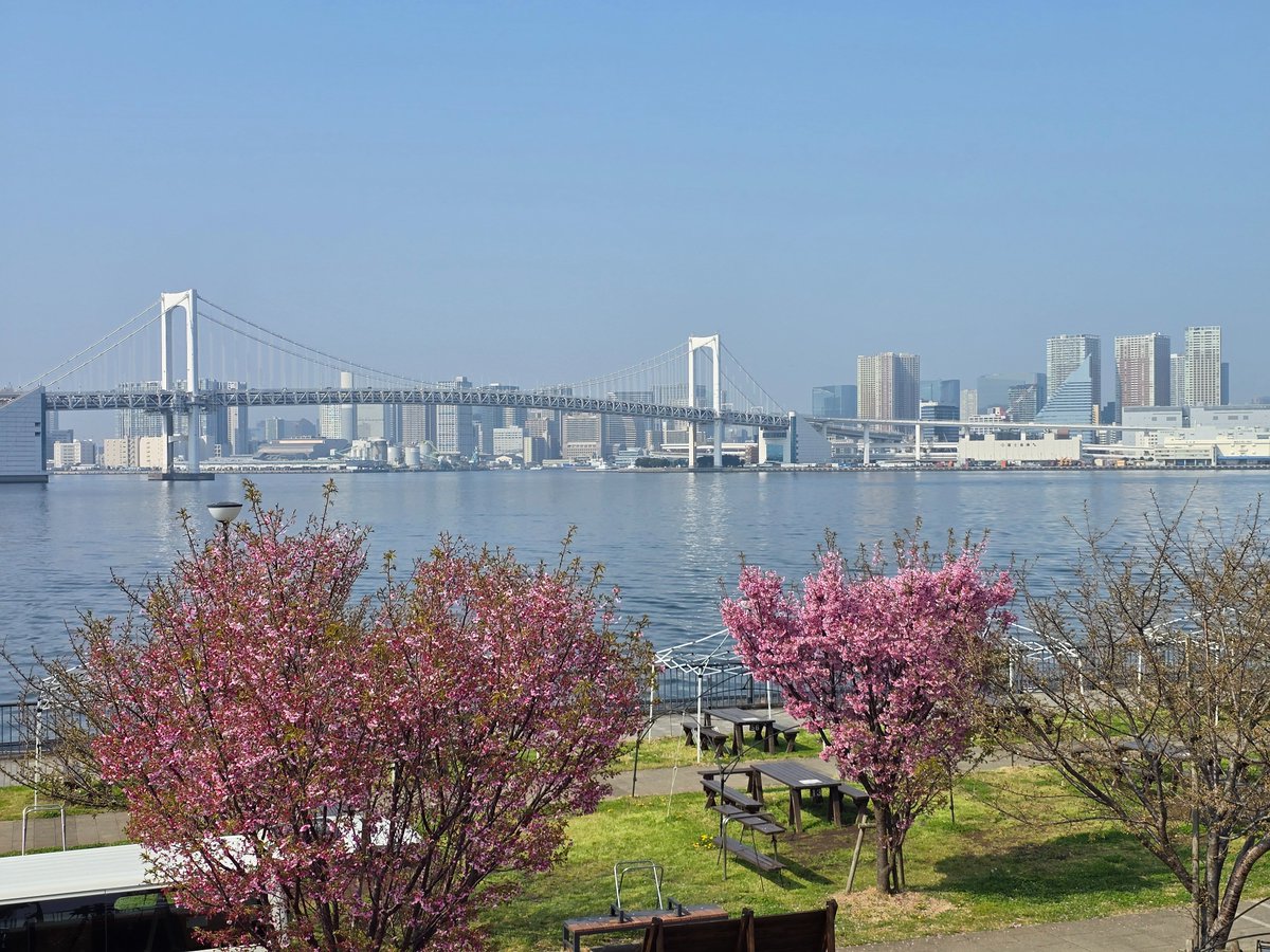 笹川裕昭 tweet media