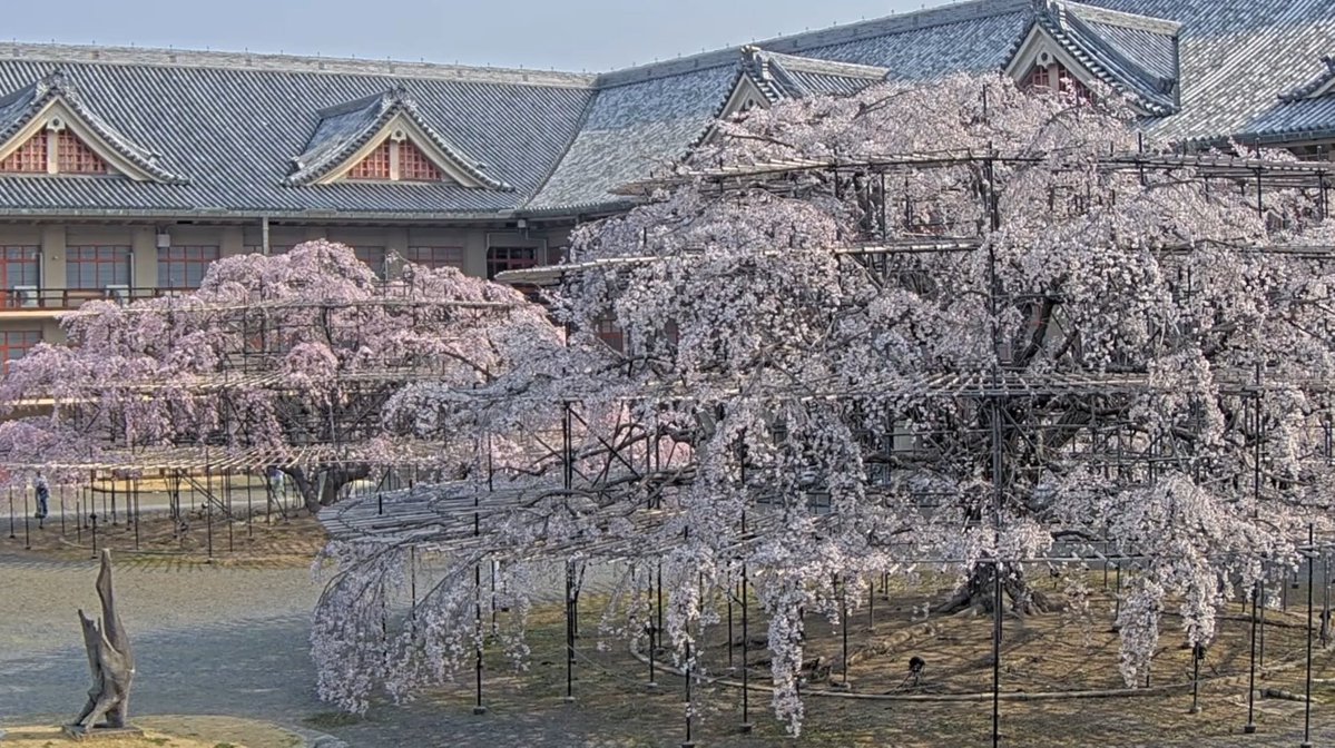 ライブカメラDB tweet media