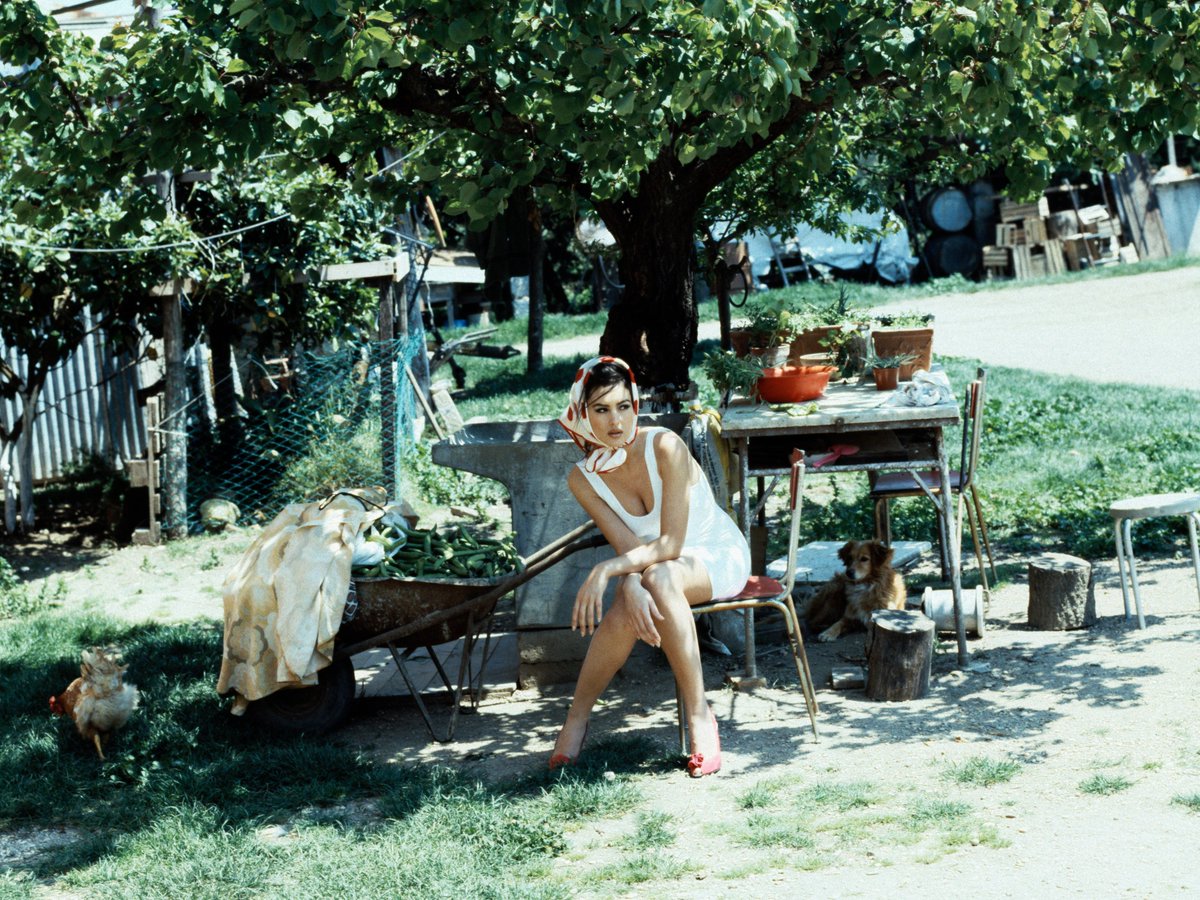 Monica Bellucci tweet media