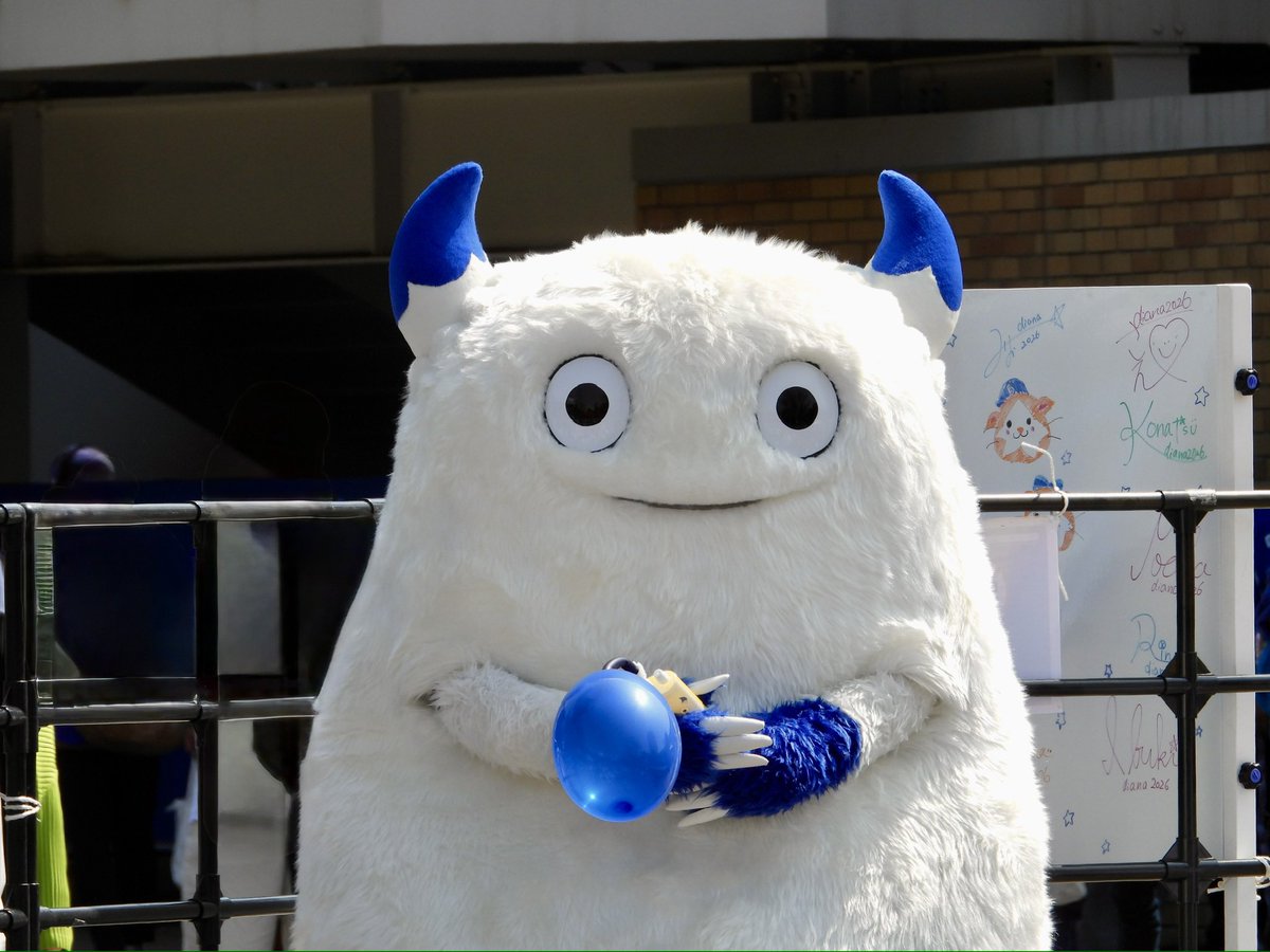 🟡🦭 tweet media