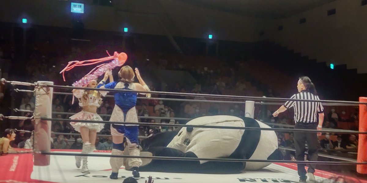 o8BHB9WiTkXngpW's tweet photo. ピコハンの行方はどうなるのか?
東京女子に参戦すると捕縛されがちなアンドレザは今日も捕縛されるのか?
試合と同じくらい気になります!
#tjpw #n2w https://t.co/RDmC8ChXQU