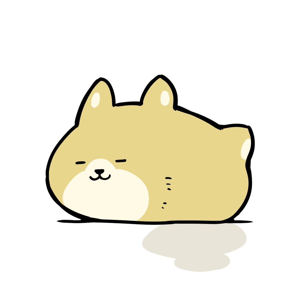 うしまん（日常的な） tweet media