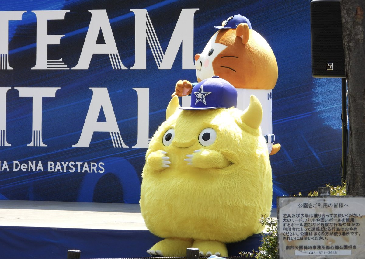 🟡🦭 tweet media