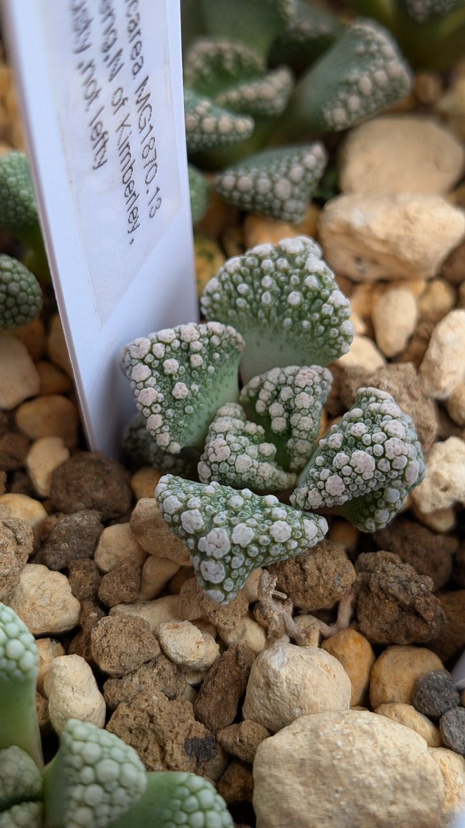 lovesemps tweet media