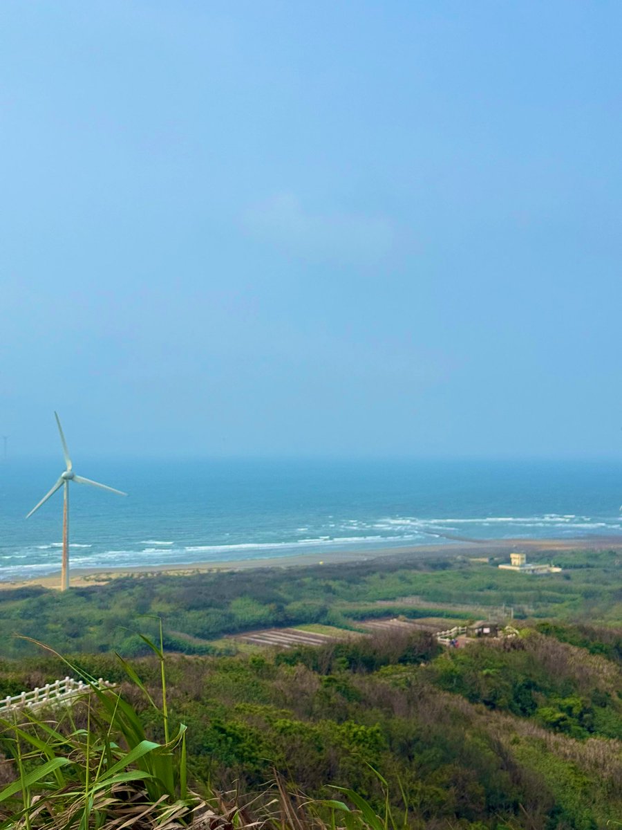 薄荷色 tweet media