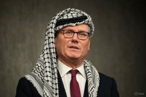 Liza Rosen tweet media