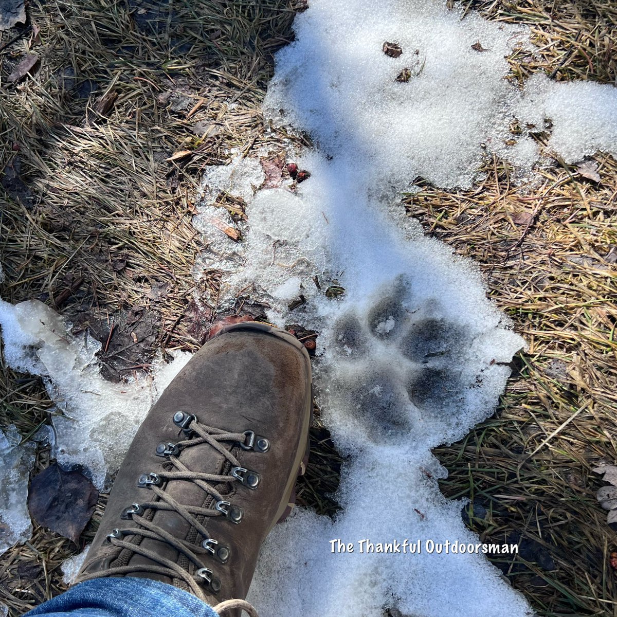 The Thankful Outdoorsman tweet media