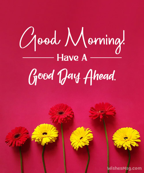 Sharma_dv tweet media
