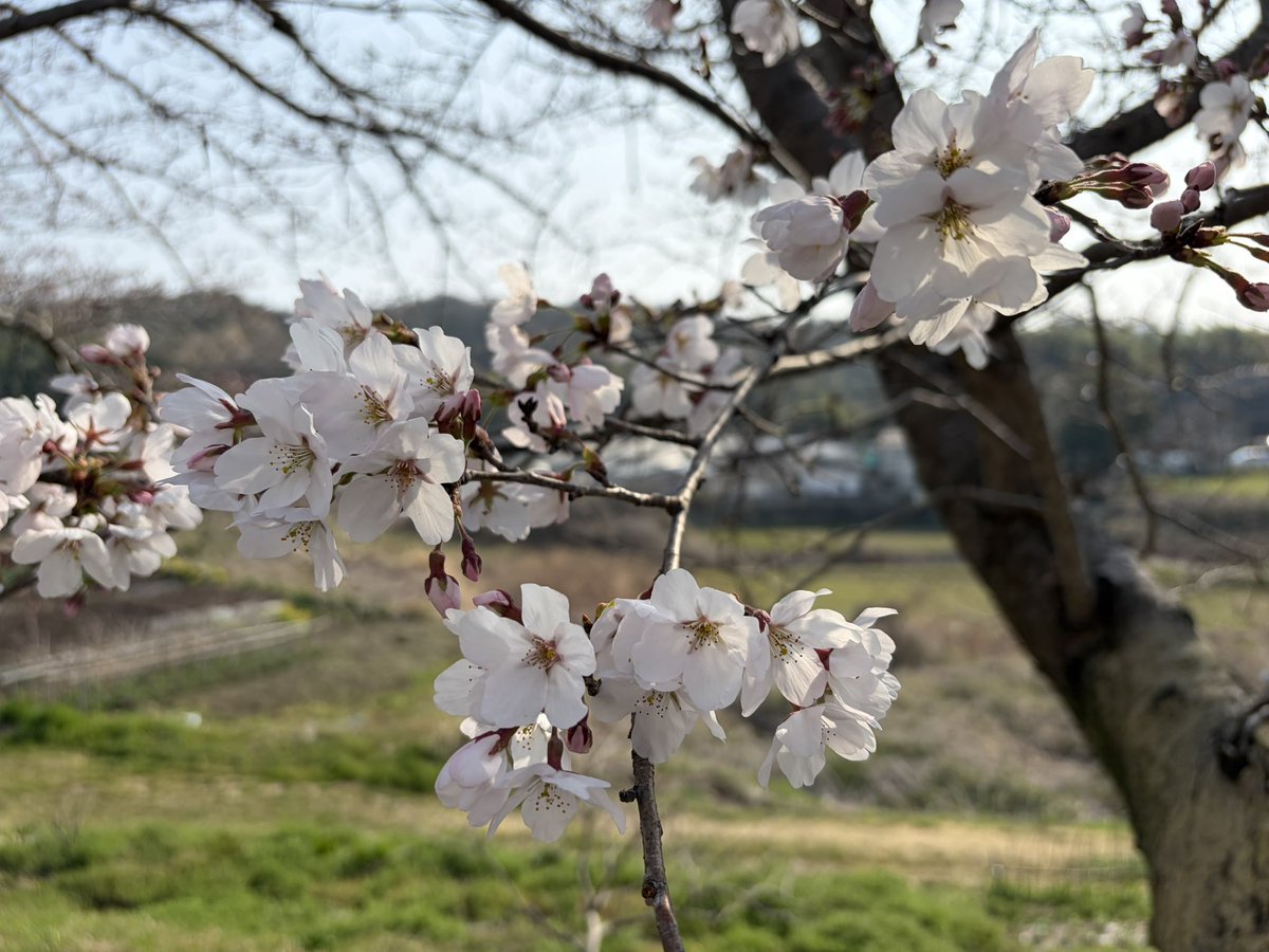 Yosuke Takeda tweet media