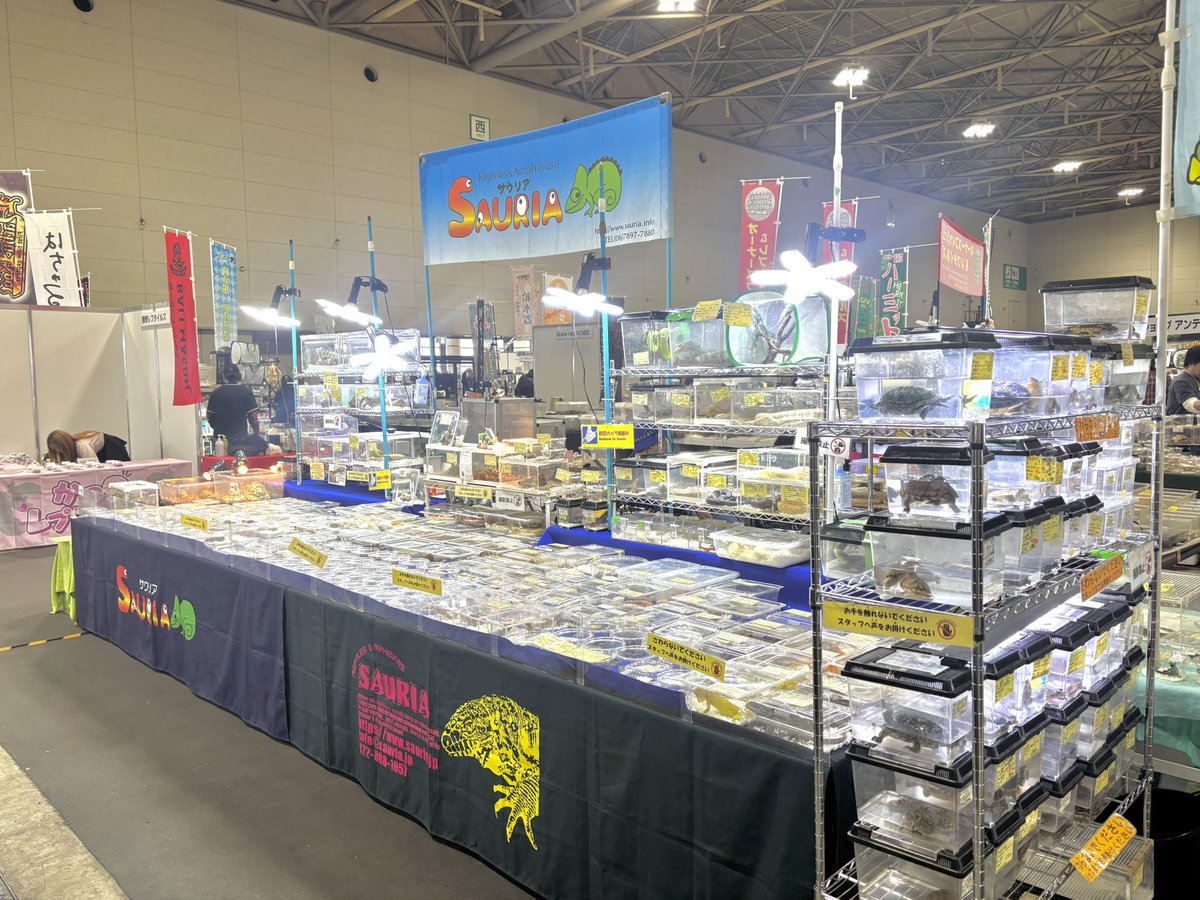 SAURIA守口店 tweet media