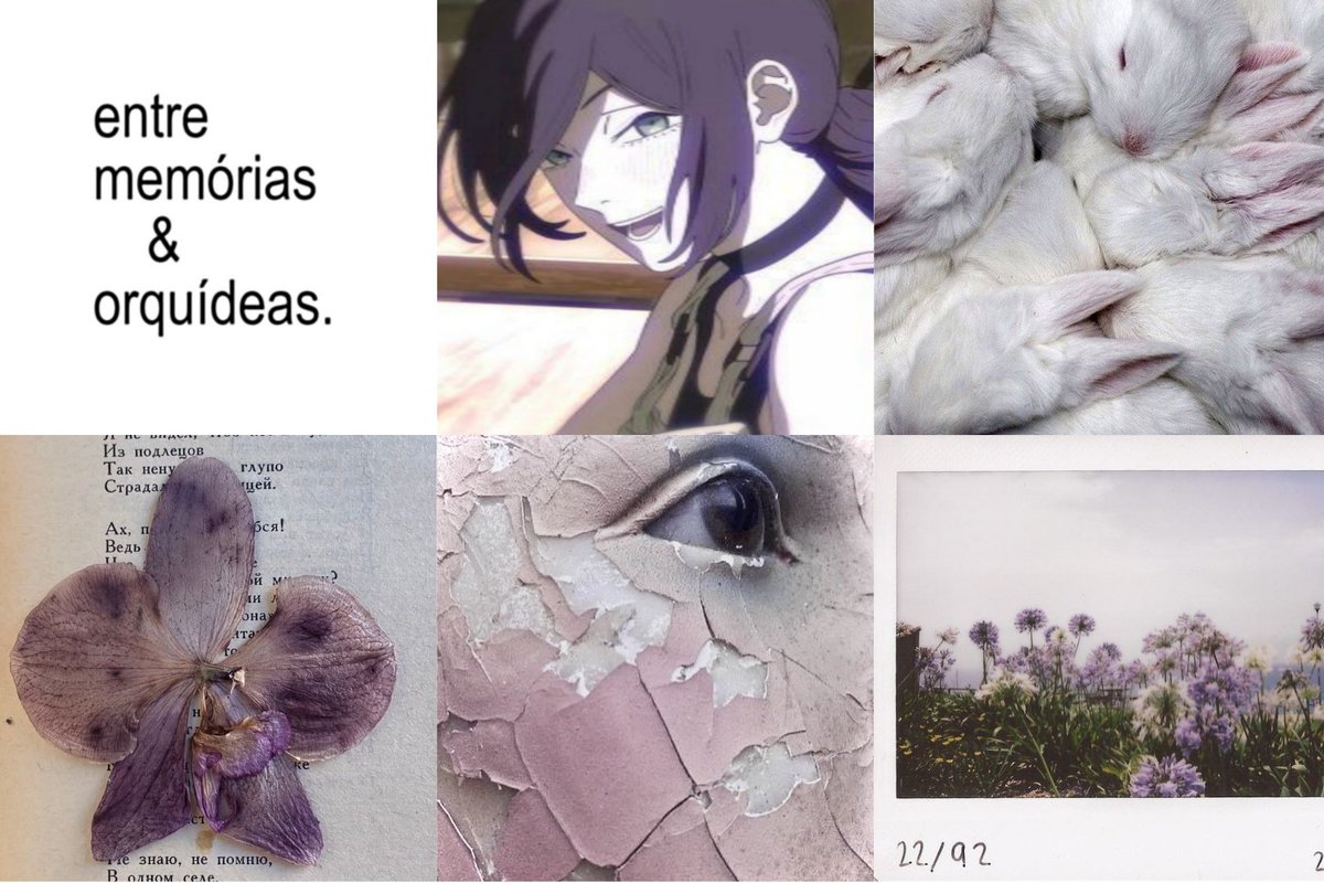 ︎ ︎︎ ︎ tweet media