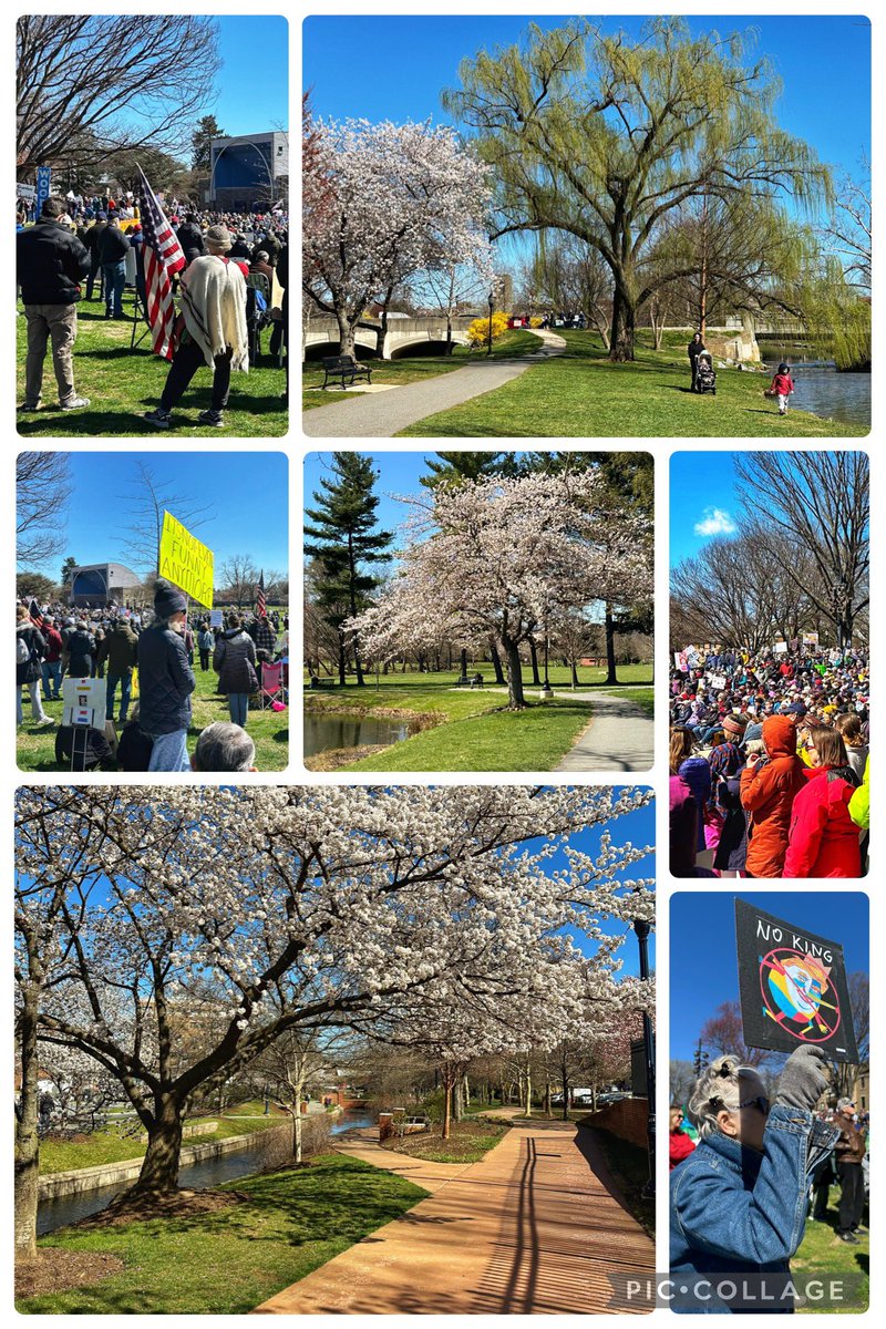 ModeratorPaul's tweet photo. Downtown Frederick prayer walk romp!

Baker Park bursting with blossoms and protest.  

Exciting to see both the proclamation of God’s creation and the exercise of free speech.  

Both occurred, peacefully — thankfully. https://t.co/VOeoMhBpzT