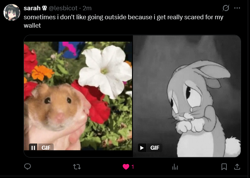 Fool 🏳️‍⚧️ tweet media