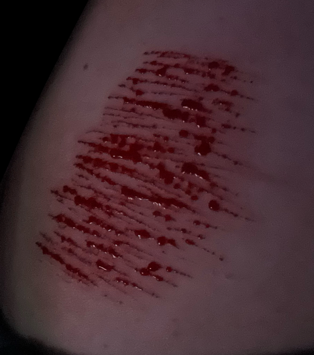 ꒰𑁬 Silas ♡ Dark Kangel of shedtwt ໒꒱ tweet media