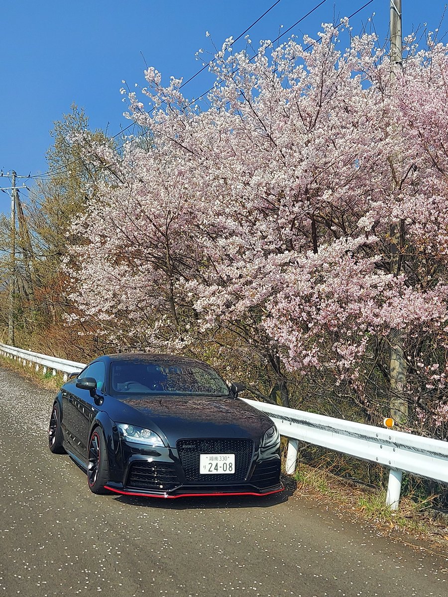 てらっちょ tweet media