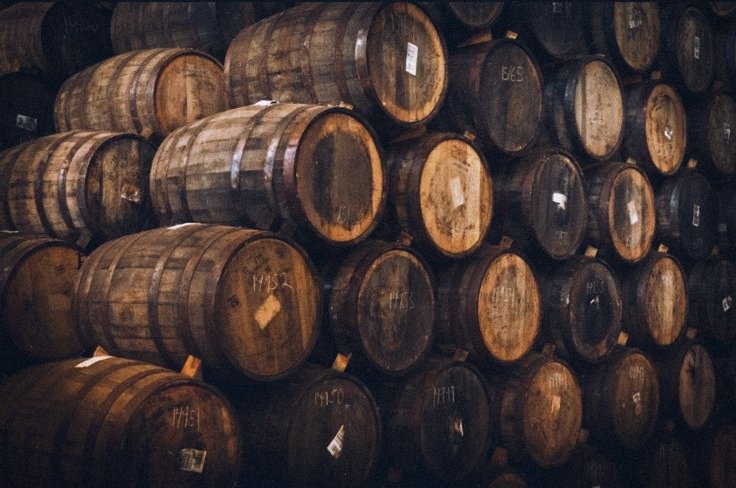 ๐ษดแดแดษชษด tweet media