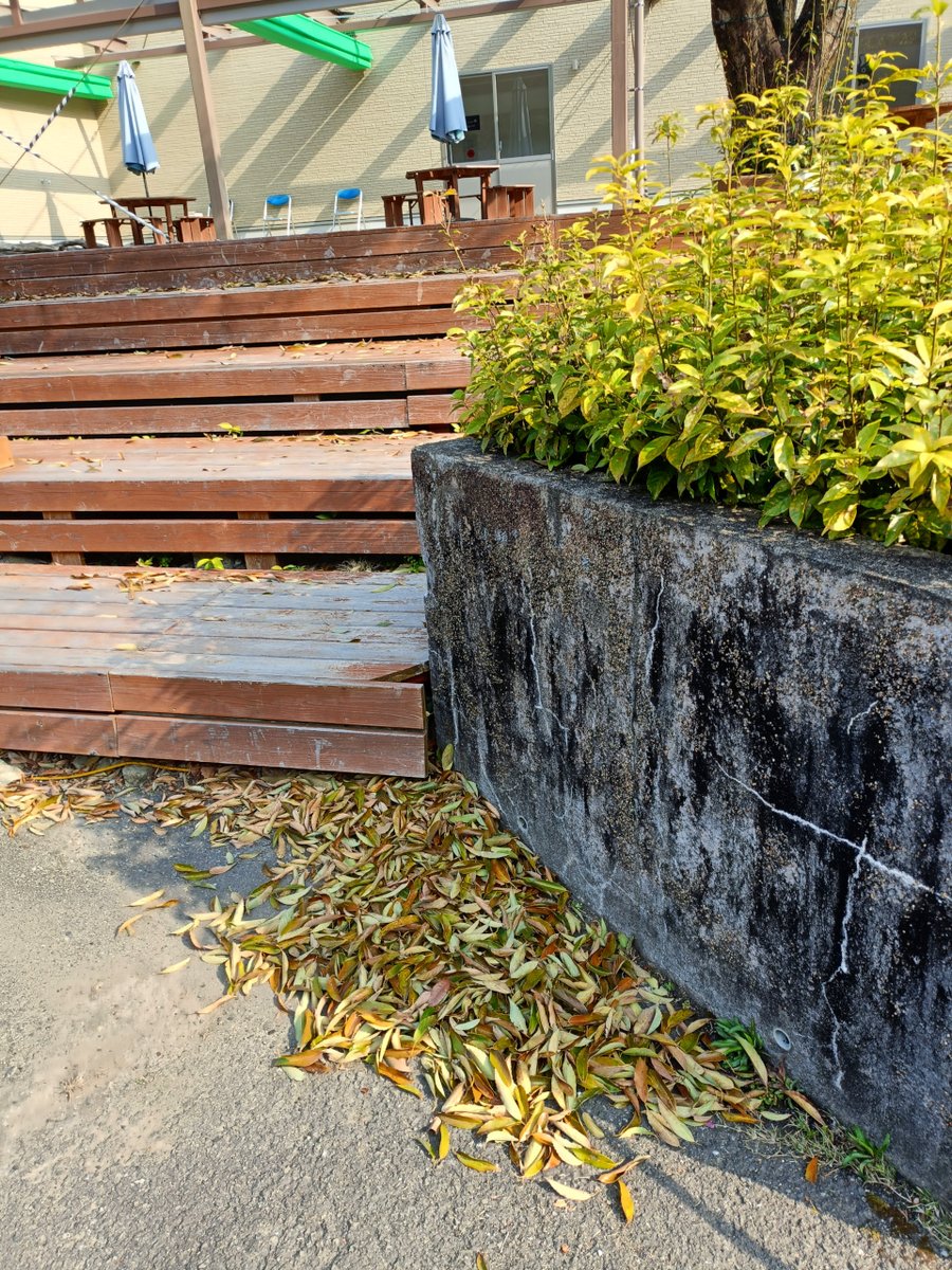 龍神村 DragonMuseum tweet media