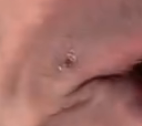 Revealutionary Films tweet media