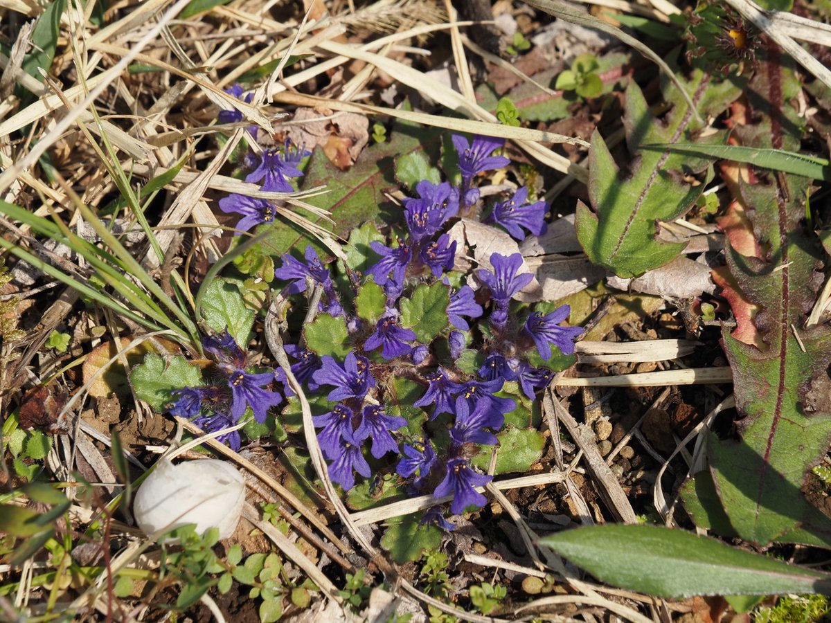 神奈川県立秦野ビジターセンター tweet media