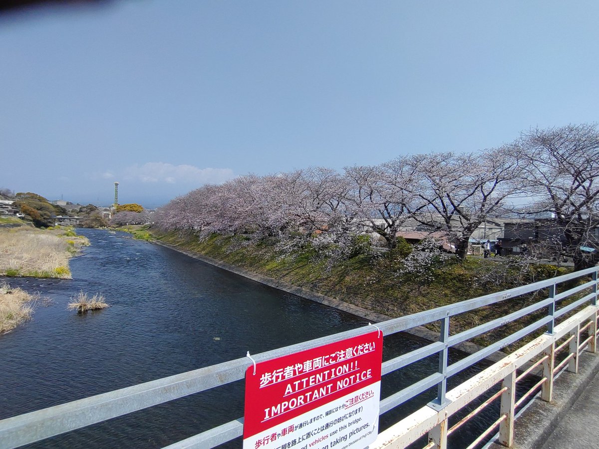 TettiiFX's tweet photo. 潤井川龍巌淵の桜😄
残念ながら富士山は雲に隠れてた󾌱 https://t.co/6T16khjaG1
