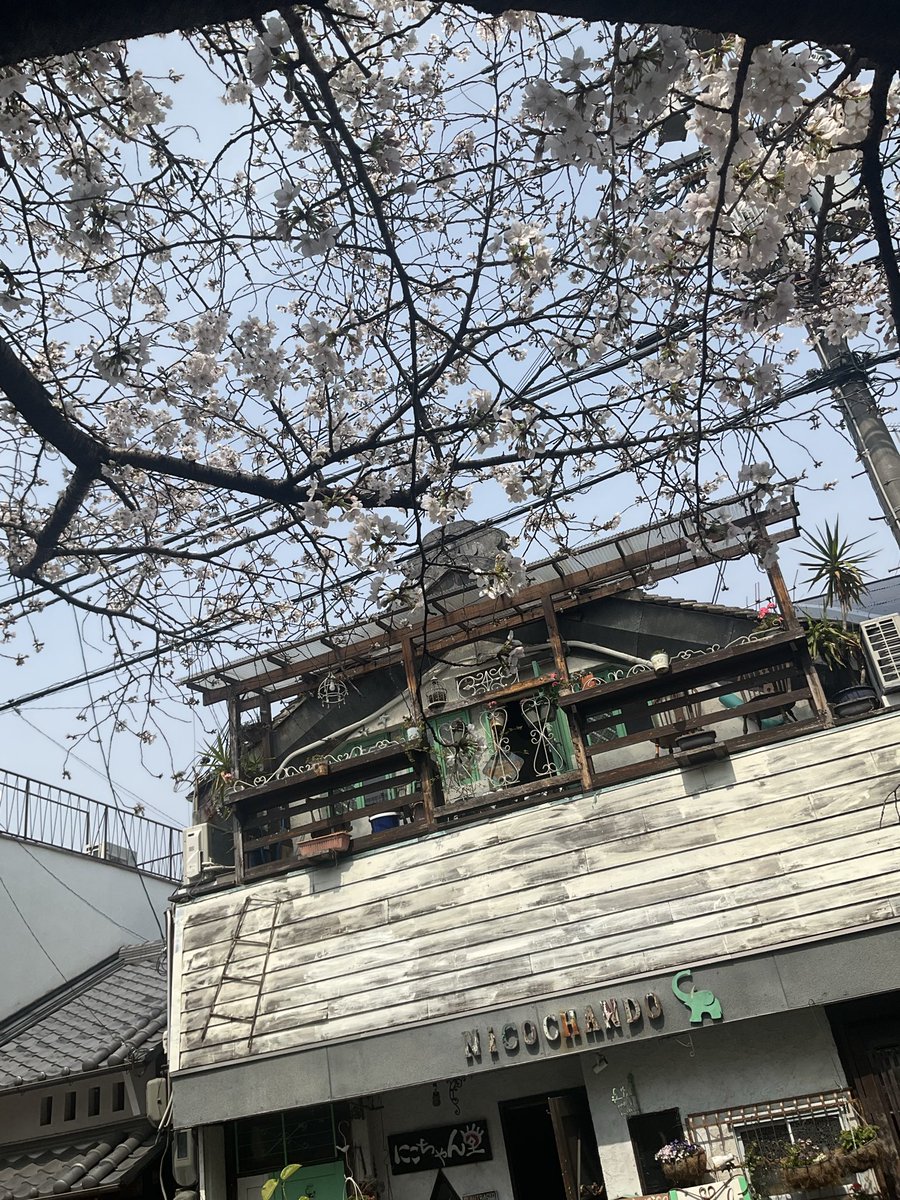 にこちゃん堂 tweet media