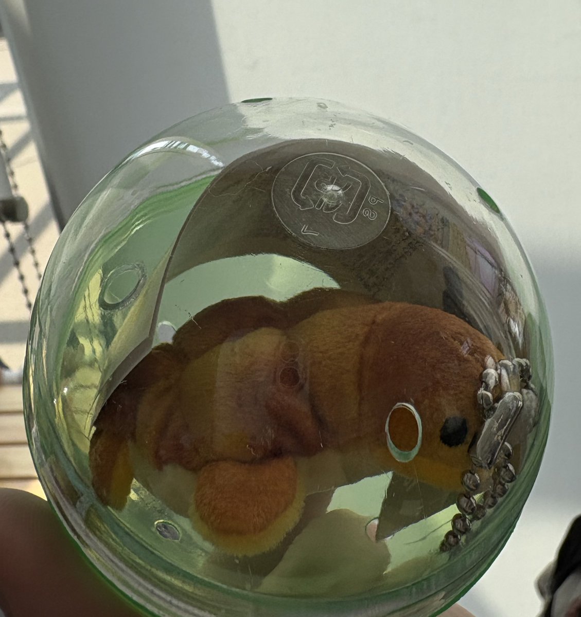 餅もち🐰🍙🍘 tweet media