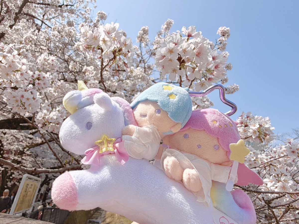 ぽぽ。 tweet media