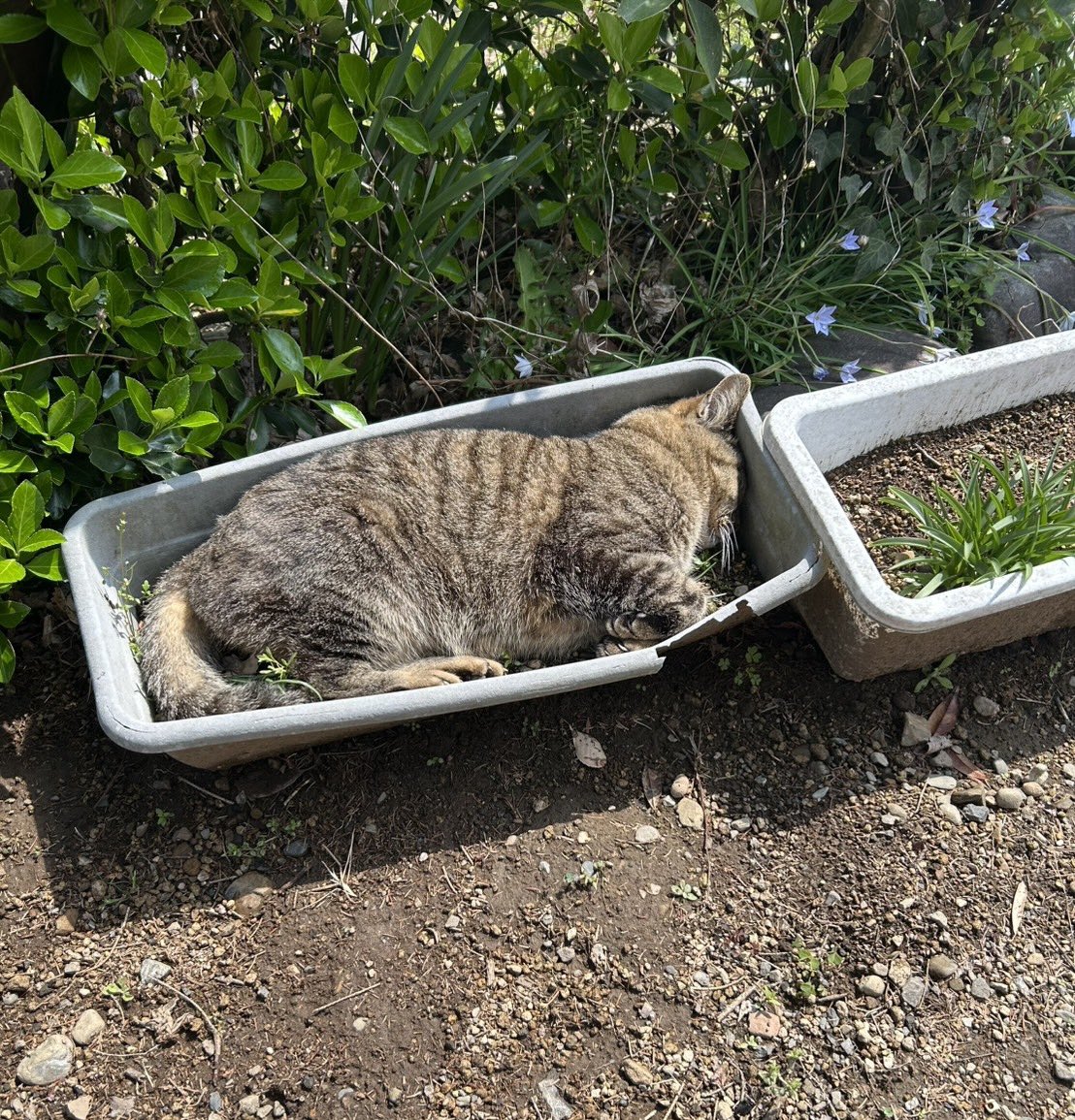 もりたきよたか tweet media