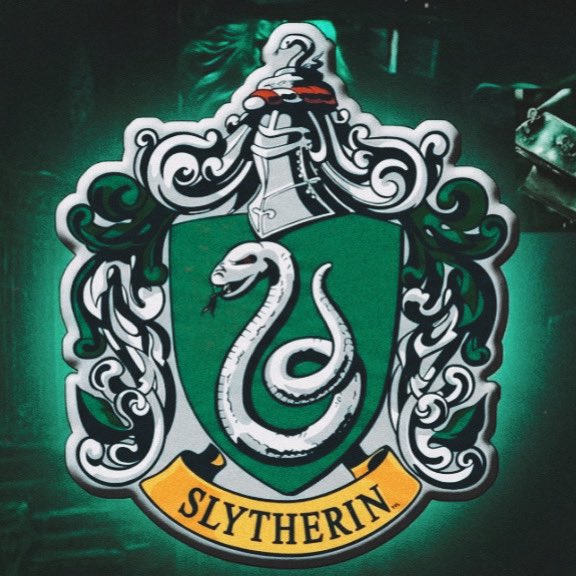 Acervo Sonserina🐍⃝⃒⃤. tweet media