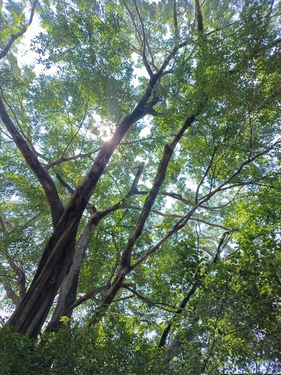 ʷⁱⁿˢ tweet media