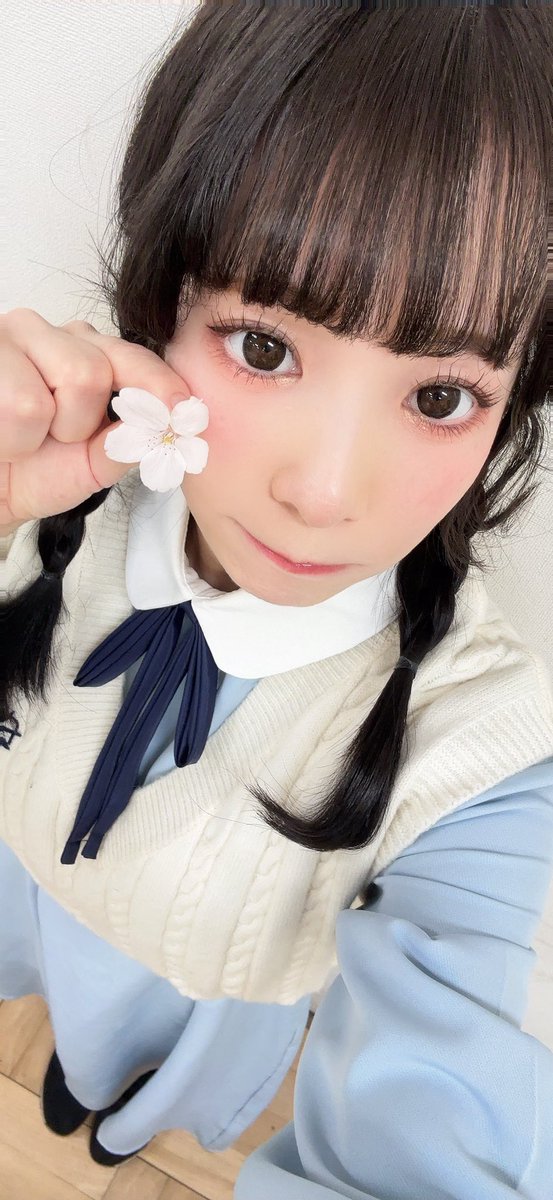 もりぽむ tweet media