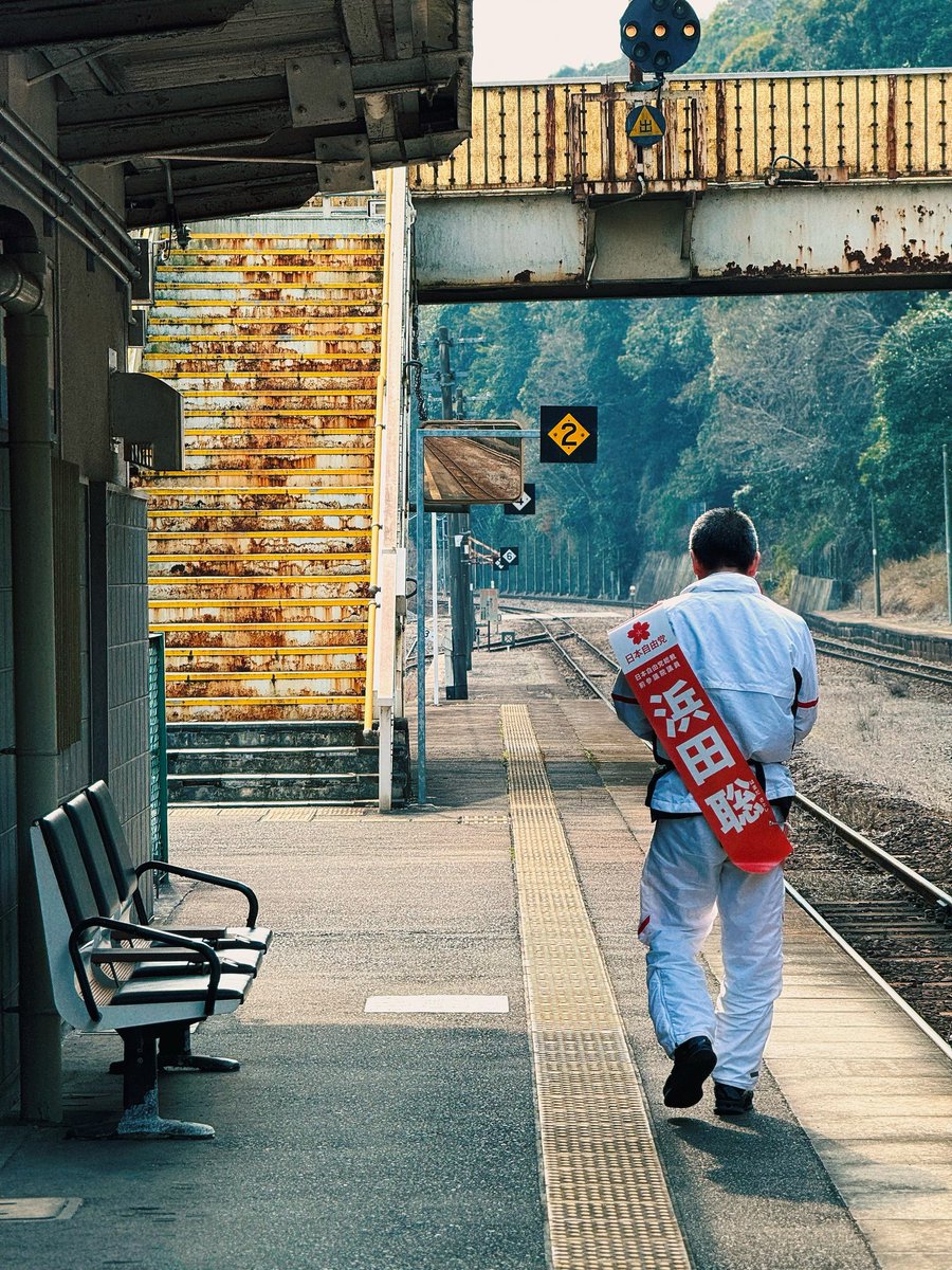 猫は吸うものです😻 tweet media