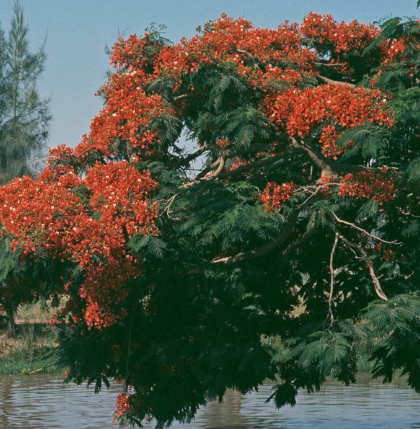 HelplesslyCurious tweet media