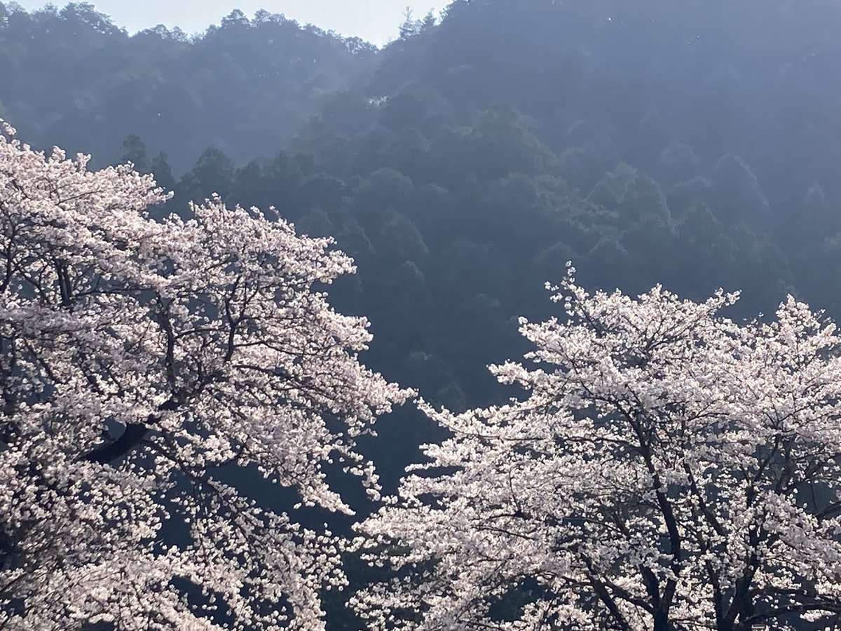 ちぃ@🩵💚 tweet media