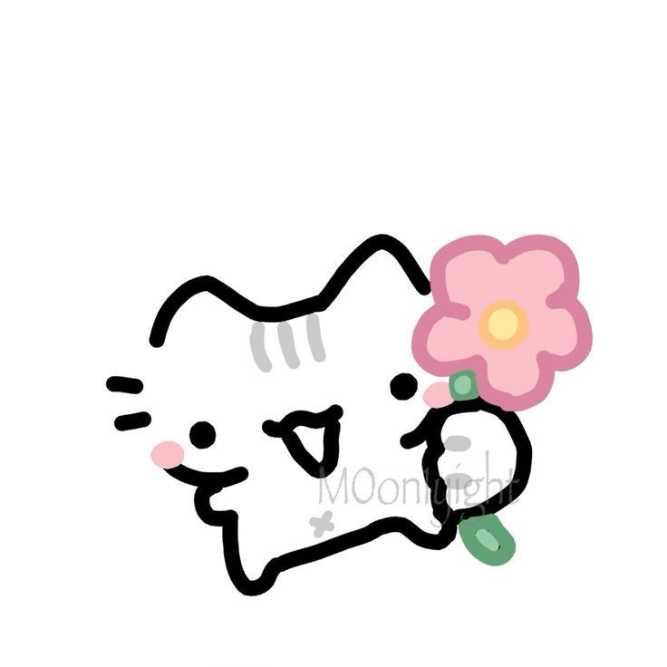 Foyi 🍞 tweet media